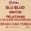 Bimtek Pelatihan Pengelolaan Keuangan BLUD Terpadu dan Terbaru
